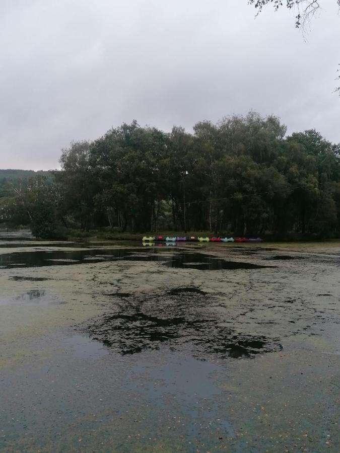 Brandivy Les Gites De L'Etang De La Foret מראה חיצוני תמונה
